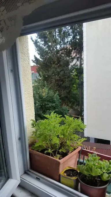 Eyuep 0*, Istanboel
